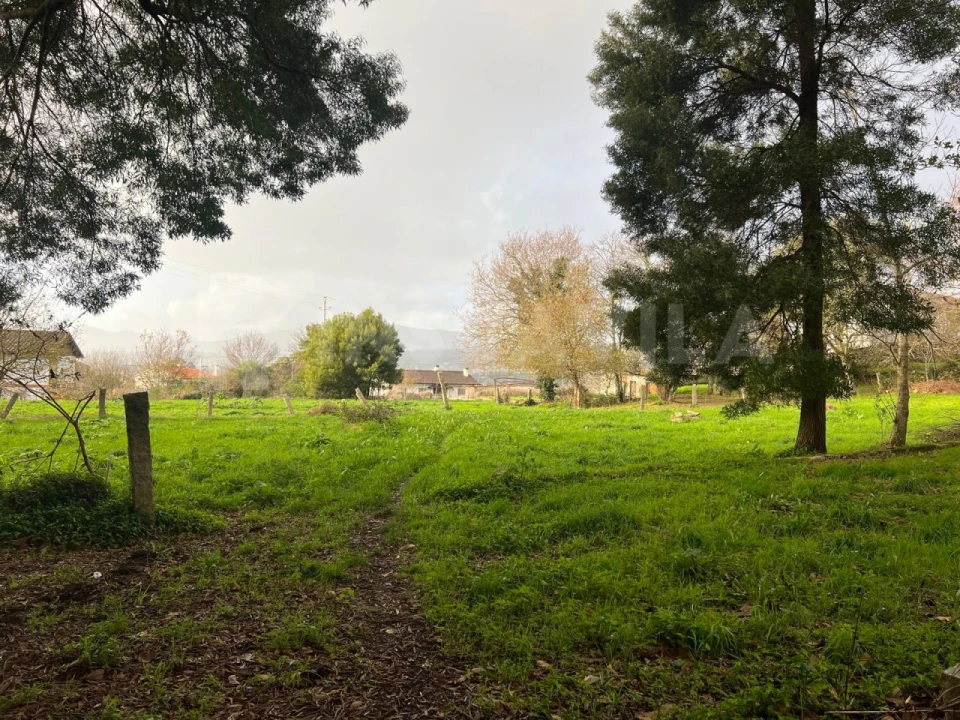 Terreno para Venda em Lanhelas Foto 14