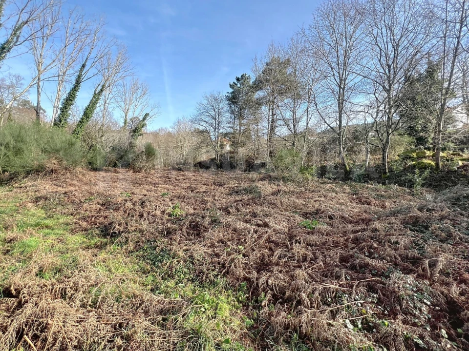 Terreno para Venda em Covas Foto 10