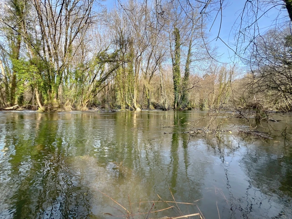 Terreno para Venda em Covas Foto 15