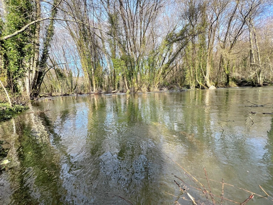 Terreno para Venda em Covas Foto 16