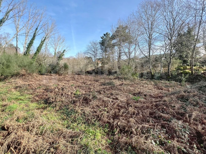Terreno para Venda em Covas Foto 10