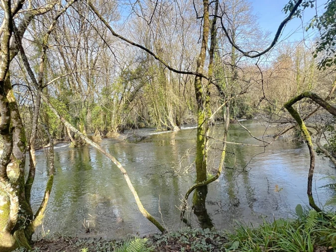 Terreno para Venda em Covas Foto 14