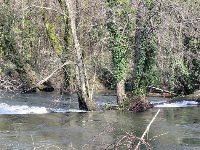 Terreno para Venda em Covas Foto 18