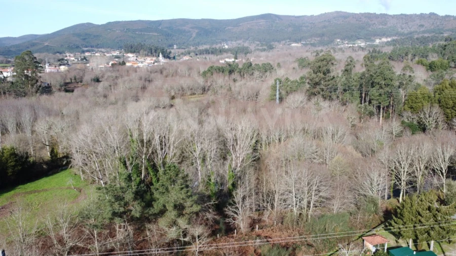 Terreno para Venda em Covas Foto 20