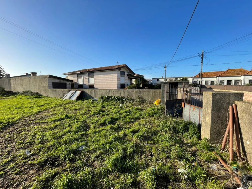 Terreno para Venda em Murtosa Foto 3
