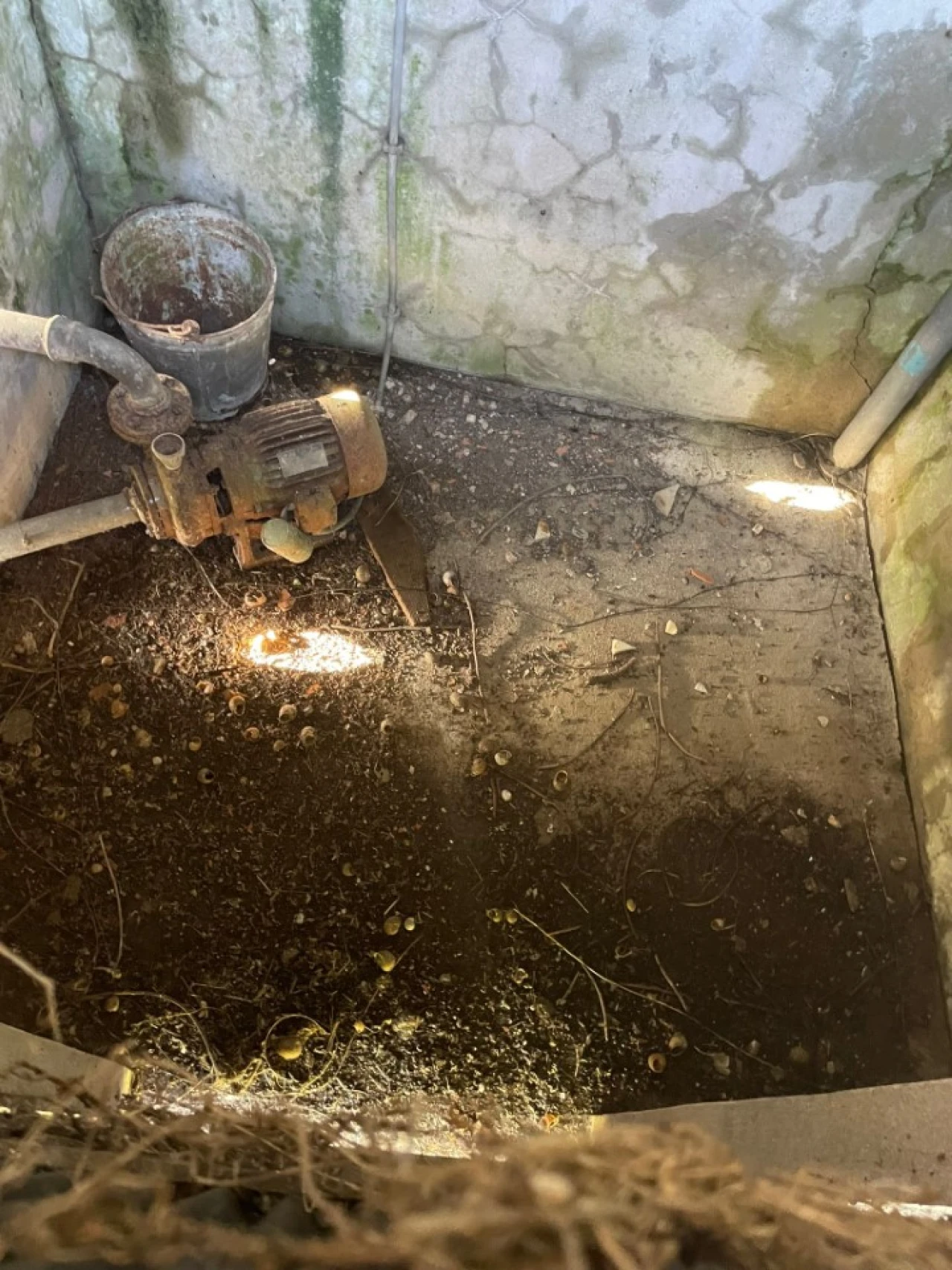 Terreno para Venda em Murtosa Foto 4