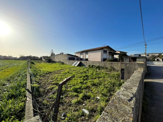 Terreno para Venda em Murtosa Foto 2