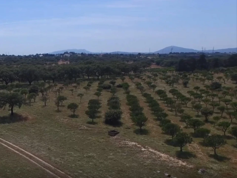 Quinta T1 para Venda em Sado Foto 24