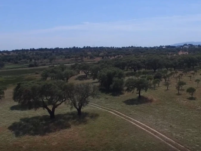 Quinta T1 para Venda em Sado Foto 7