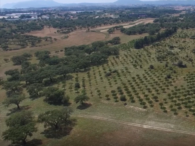 Quinta T1 para Venda em Sado Foto 10