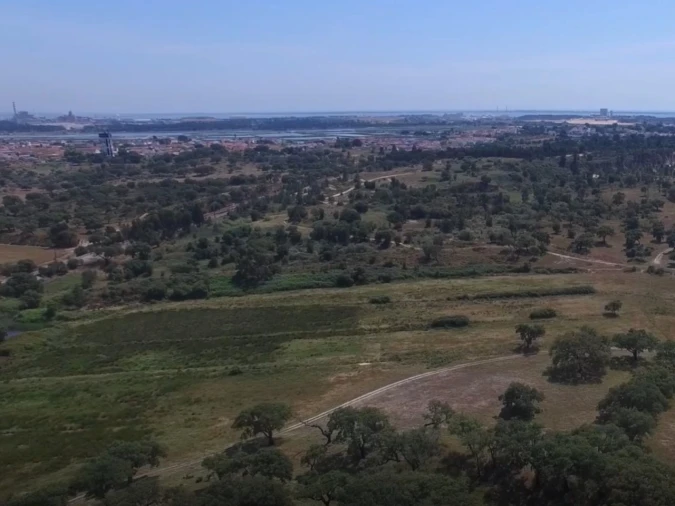 Quinta T1 para Venda em Sado Foto 11