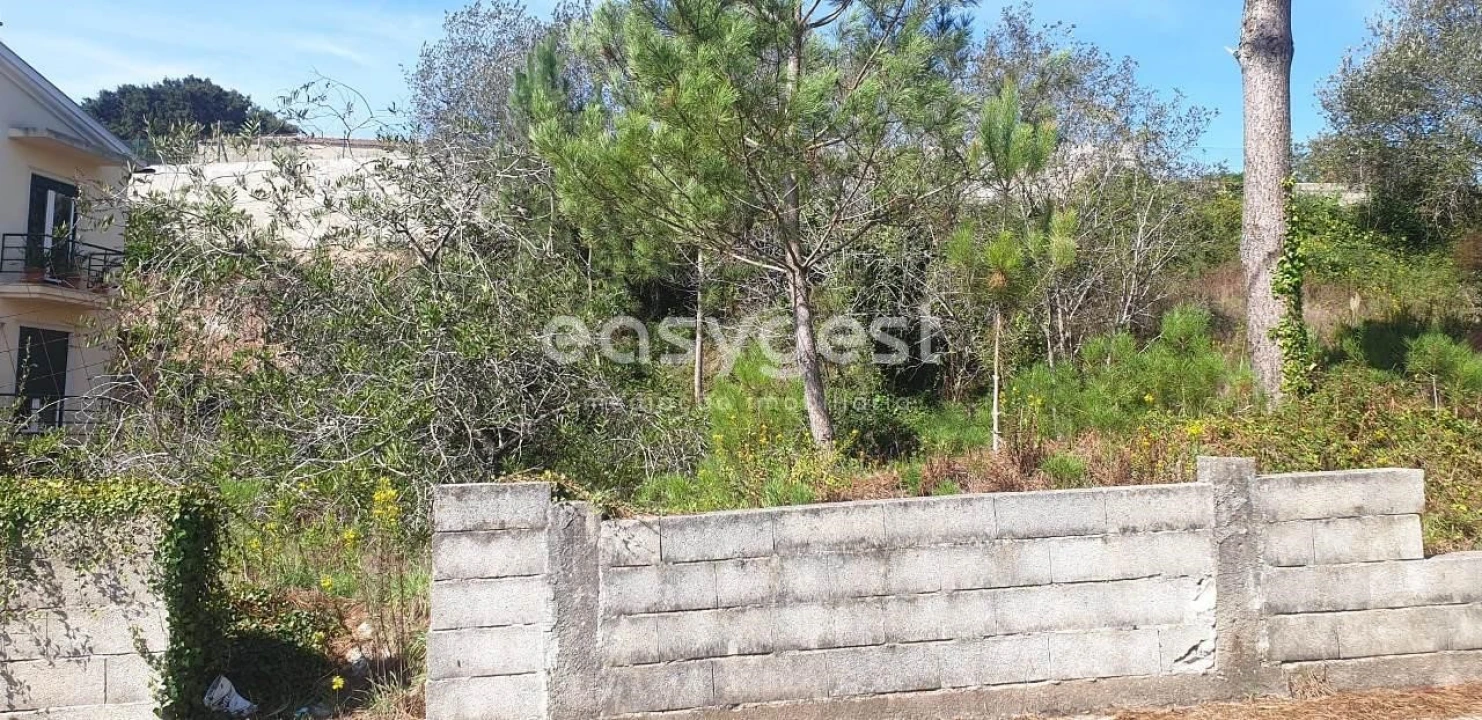 Terreno para Venda em Alquerubim Foto 4