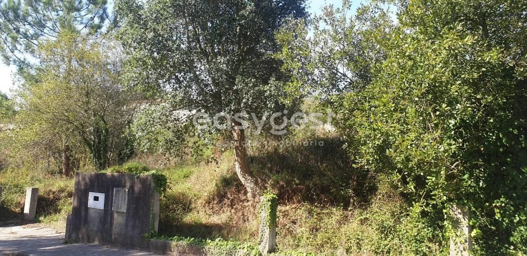 Terreno para Venda em Alquerubim Foto 2