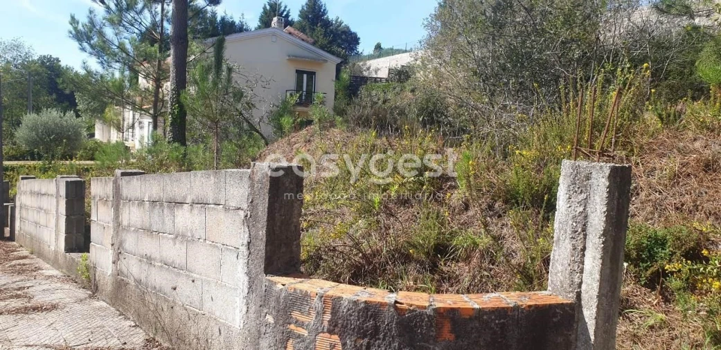 Terreno para Venda em Alquerubim Foto 3