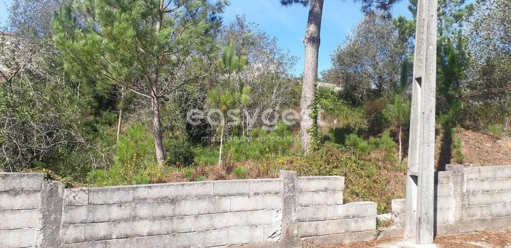 Terreno para Venda em Alquerubim Foto 6