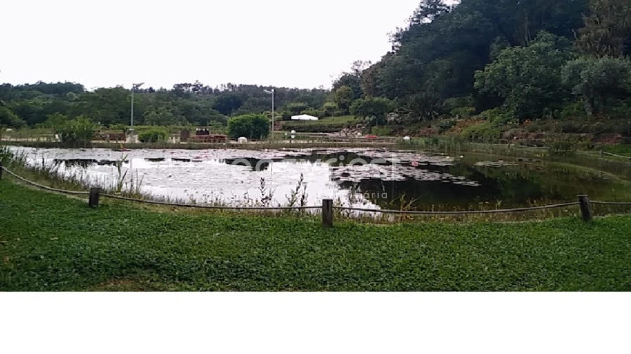 Terreno para Venda em Alquerubim Foto 9