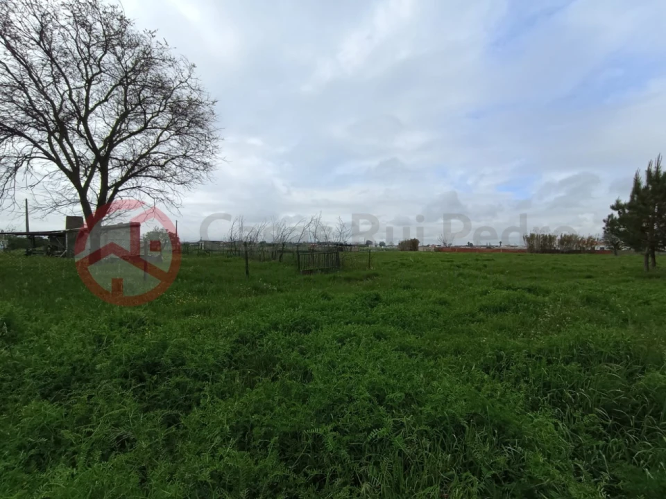 Terreno para Venda em Pinhal Novo Foto 3