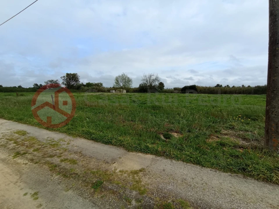Terreno para Venda em Pinhal Novo Foto 4
