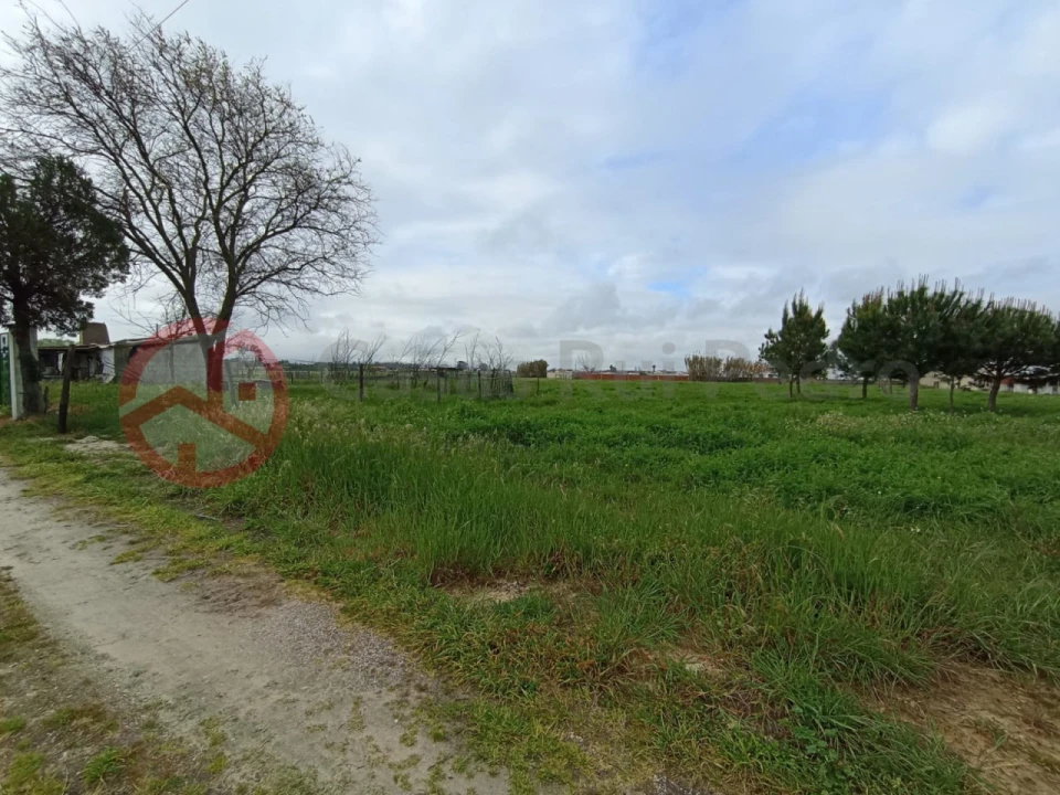 Terreno para Venda em Pinhal Novo Foto 5