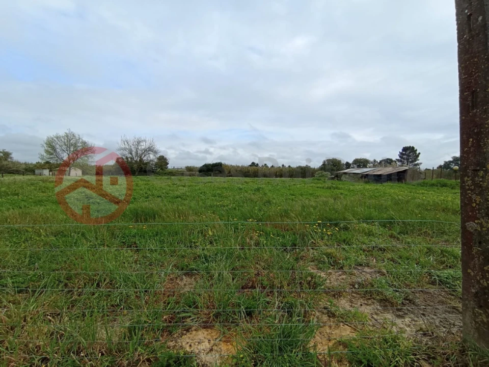 Terreno para Venda em Pinhal Novo Foto 6
