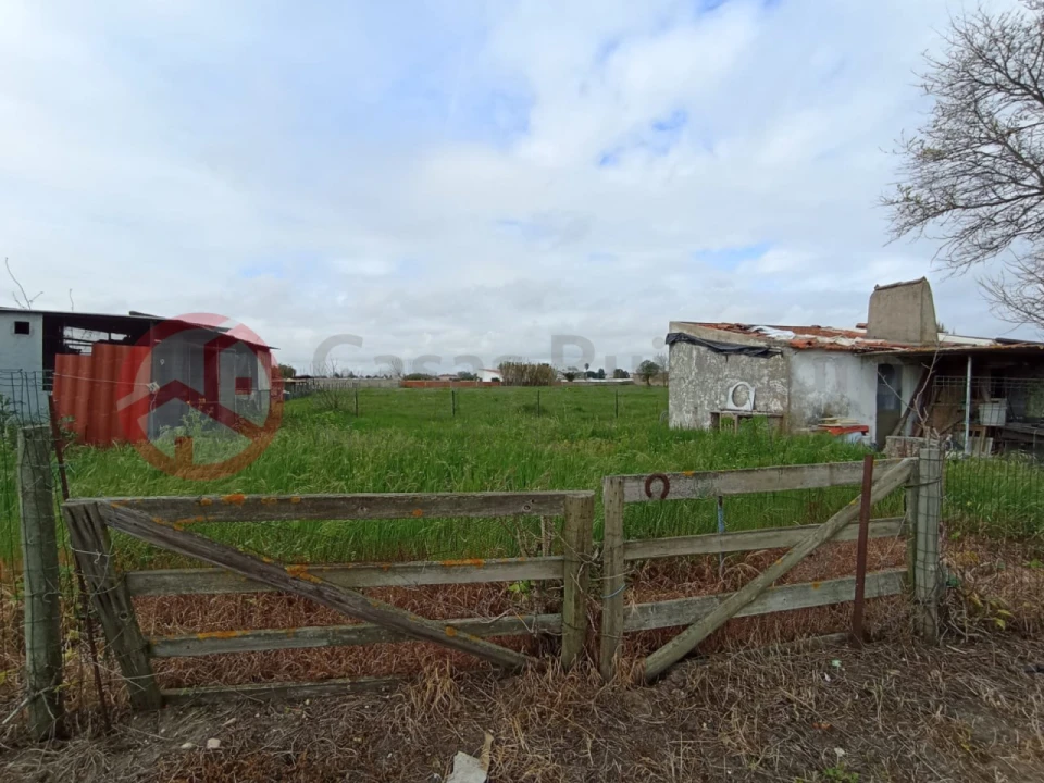 Terreno para Venda em Pinhal Novo Foto 10