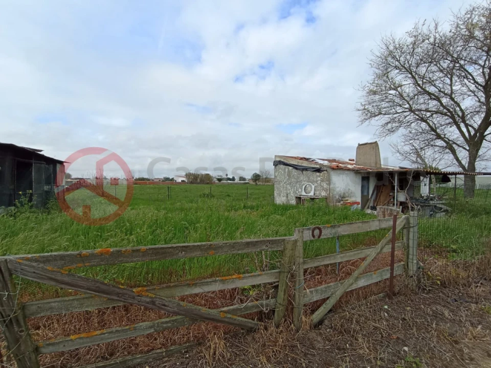 Terreno para Venda em Pinhal Novo Foto 11