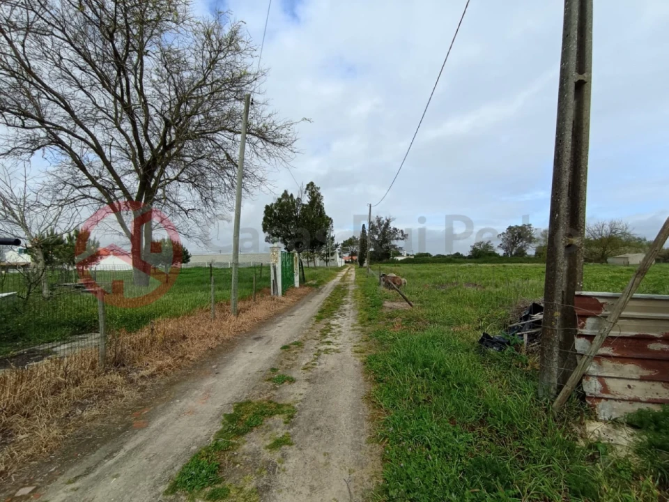 Terreno para Venda em Pinhal Novo Foto 16