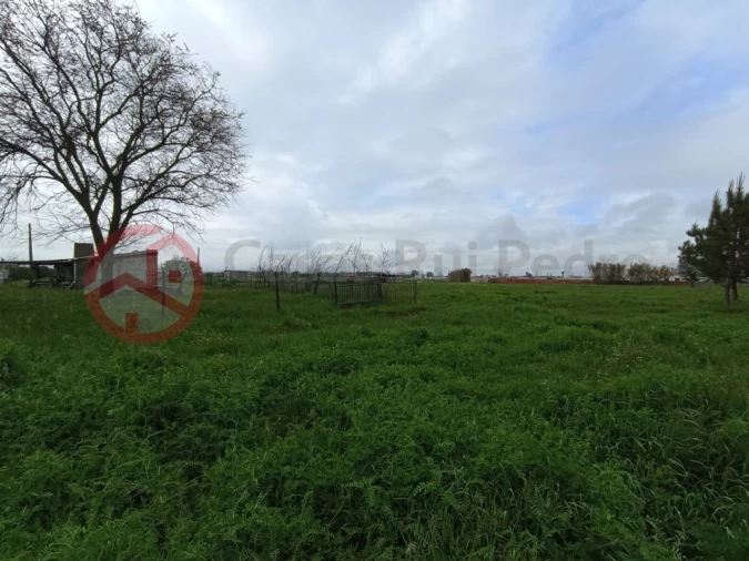Terreno para Venda em Pinhal Novo Foto 3