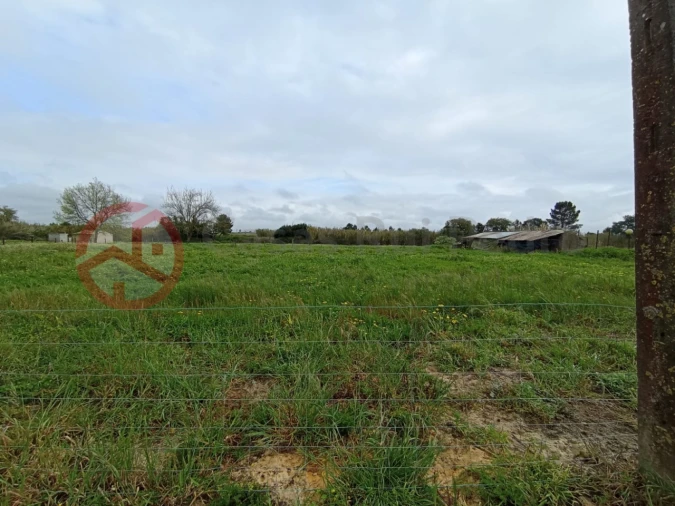 Terreno para Venda em Pinhal Novo Foto 6