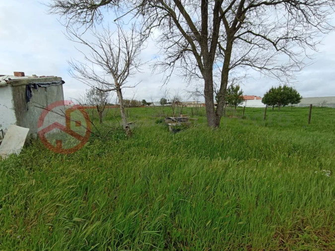 Terreno para Venda em Pinhal Novo Foto 9