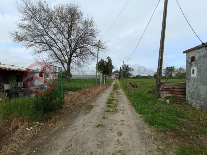 Terreno para Venda em Pinhal Novo Foto 12