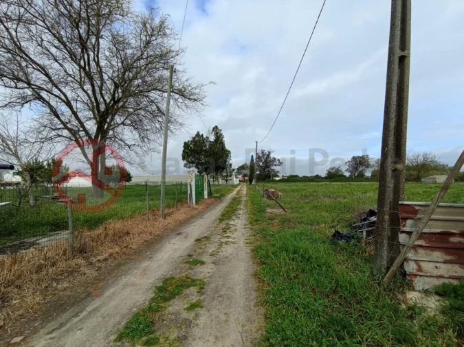 Terreno para Venda em Pinhal Novo Foto 16