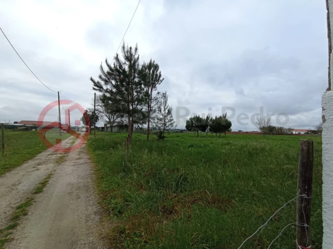 Terreno para Venda em Pinhal Novo Foto 17