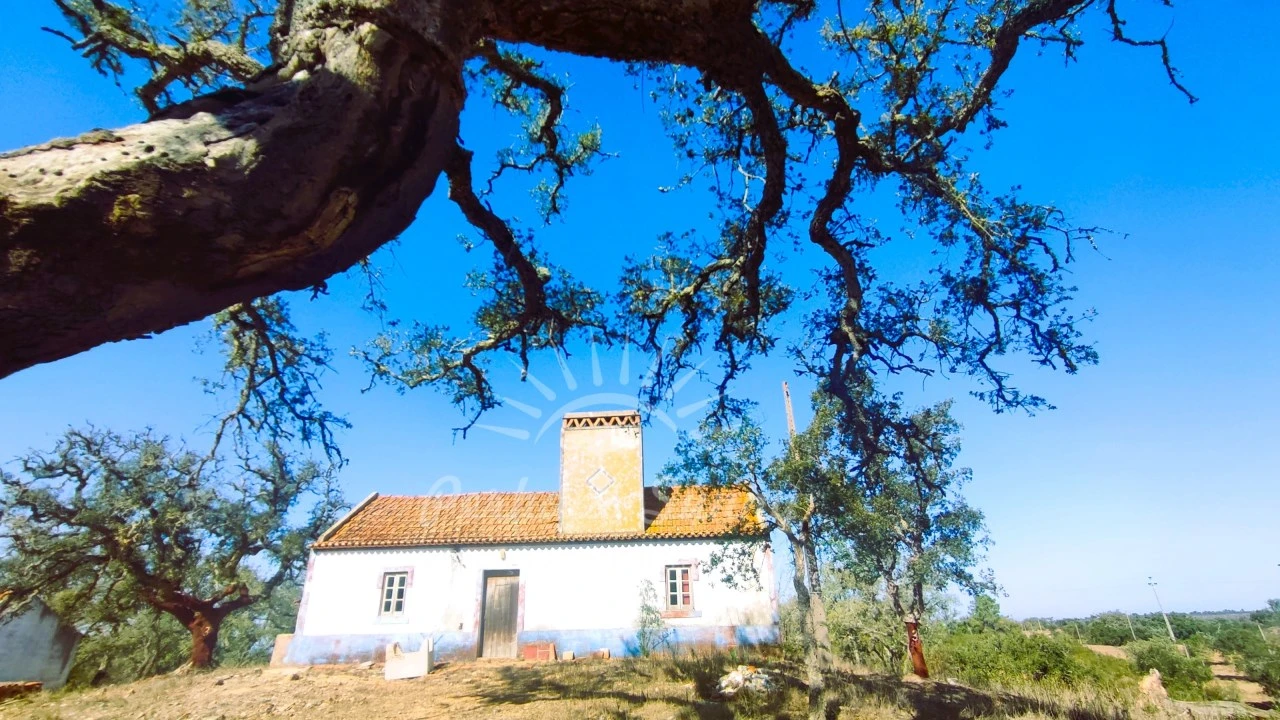 Quinta para Venda em São Francisco da Serra Foto 6
