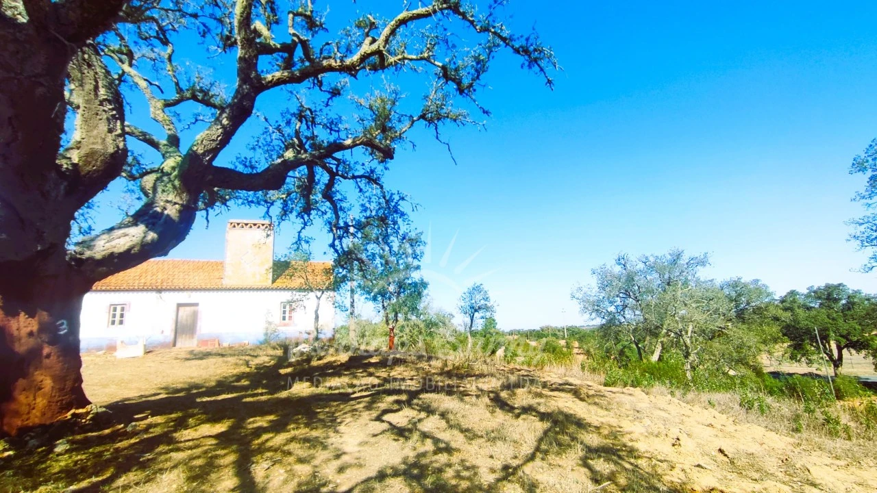 Quinta para Venda em São Francisco da Serra Foto 8