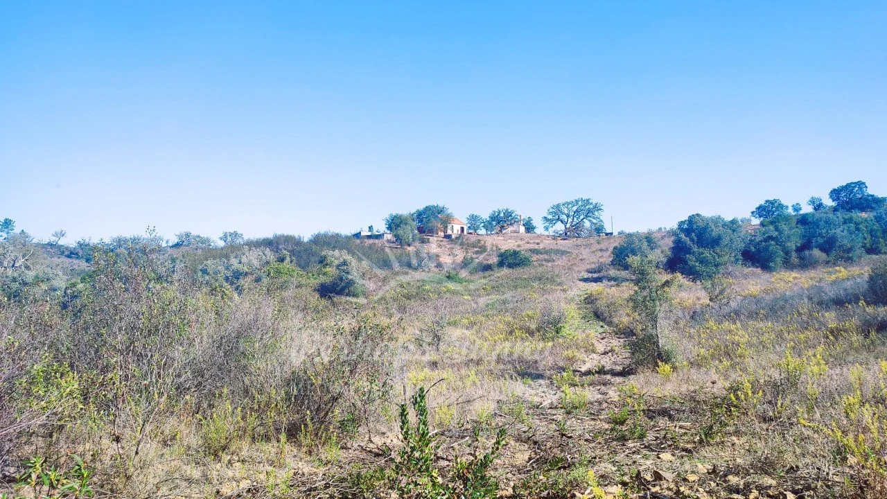 Quinta para Venda em São Francisco da Serra Foto 14