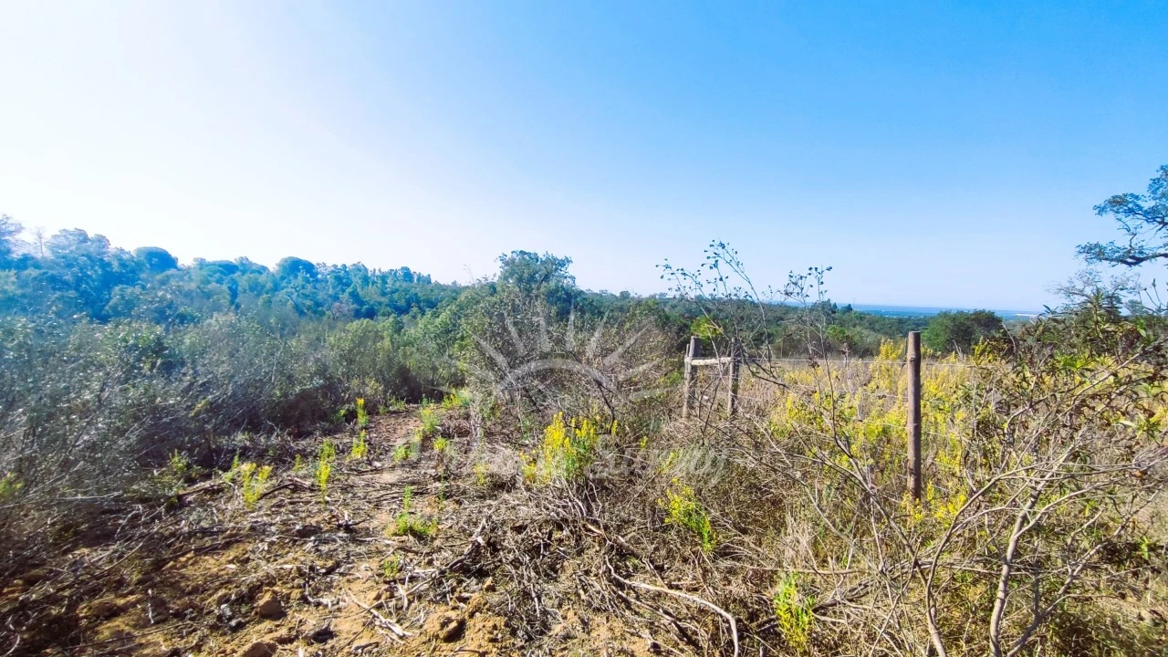 Quinta para Venda em São Francisco da Serra Foto 15