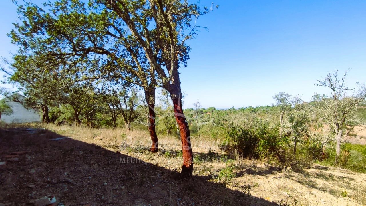 Quinta para Venda em São Francisco da Serra Foto 16