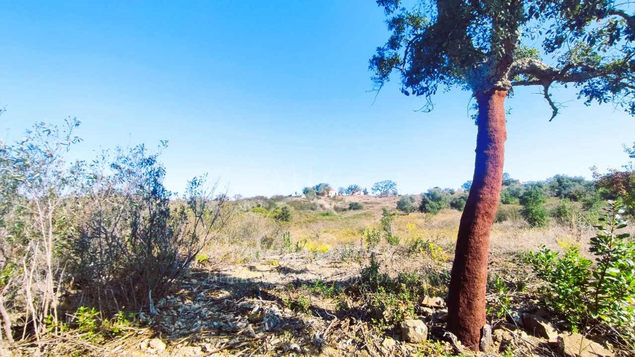 Quinta para Venda em São Francisco da Serra Foto 11