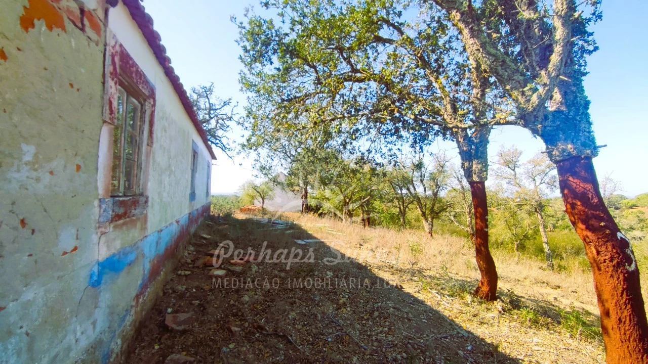 Quinta para Venda em São Francisco da Serra Foto 4