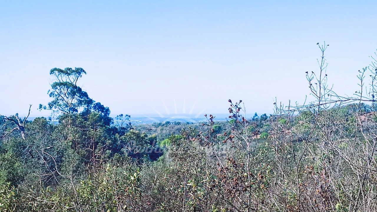 Quinta para Venda em São Francisco da Serra Foto 23