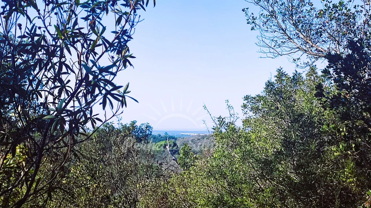 Quinta para Venda em São Francisco da Serra Foto 24