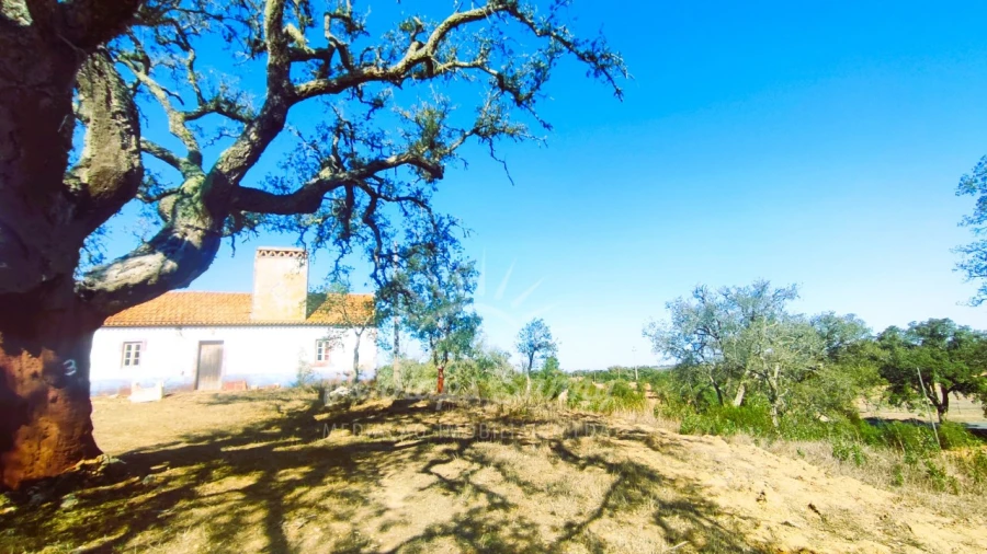 Quinta para Venda em São Francisco da Serra Foto 8