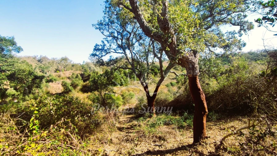 Quinta para Venda em São Francisco da Serra Foto 5