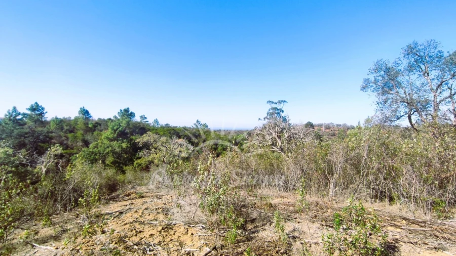 Quinta para Venda em São Francisco da Serra Foto 12