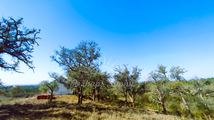 Quinta para Venda em São Francisco da Serra Foto 10