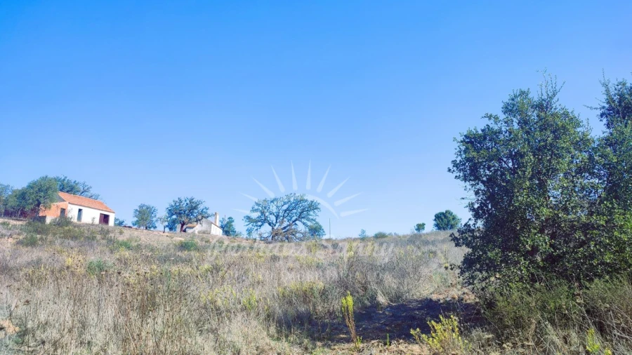 Quinta para Venda em São Francisco da Serra Foto 17