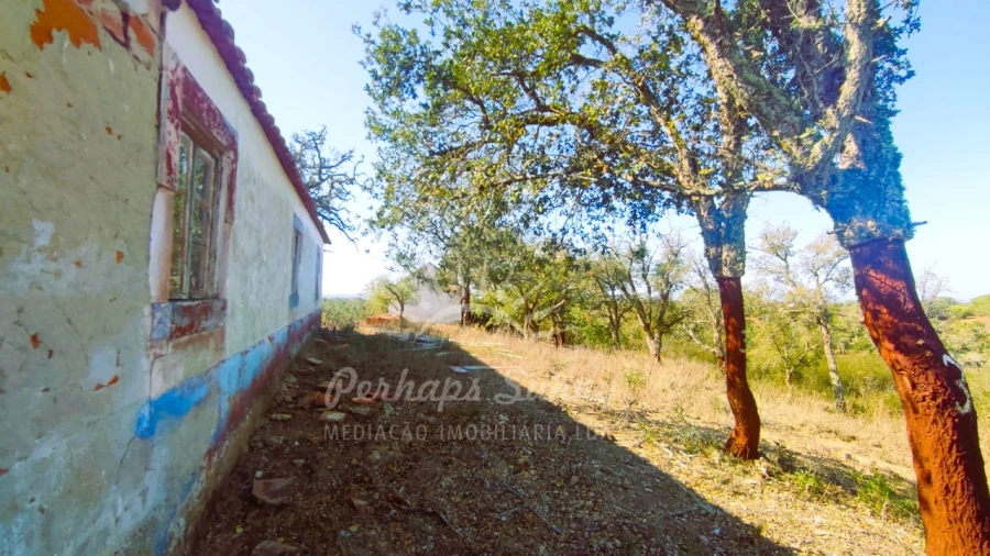 Quinta para Venda em São Francisco da Serra Foto 4