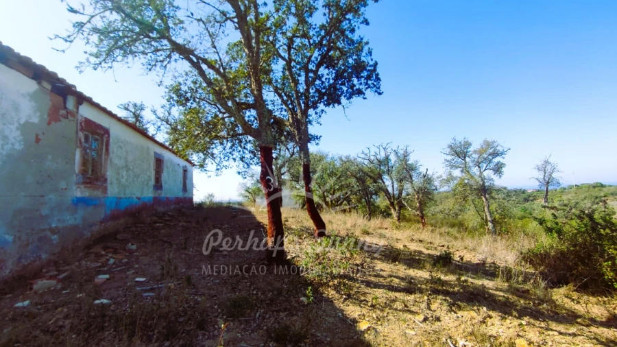 Quinta para Venda em São Francisco da Serra Foto 19