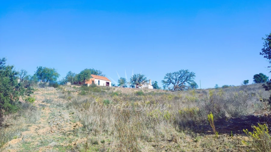 Quinta para Venda em São Francisco da Serra Foto 20